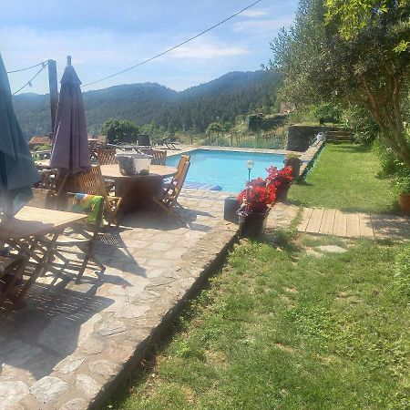 Le Mercou En Cevennes Saint-Martin-de-Boubaux Bagian luar foto