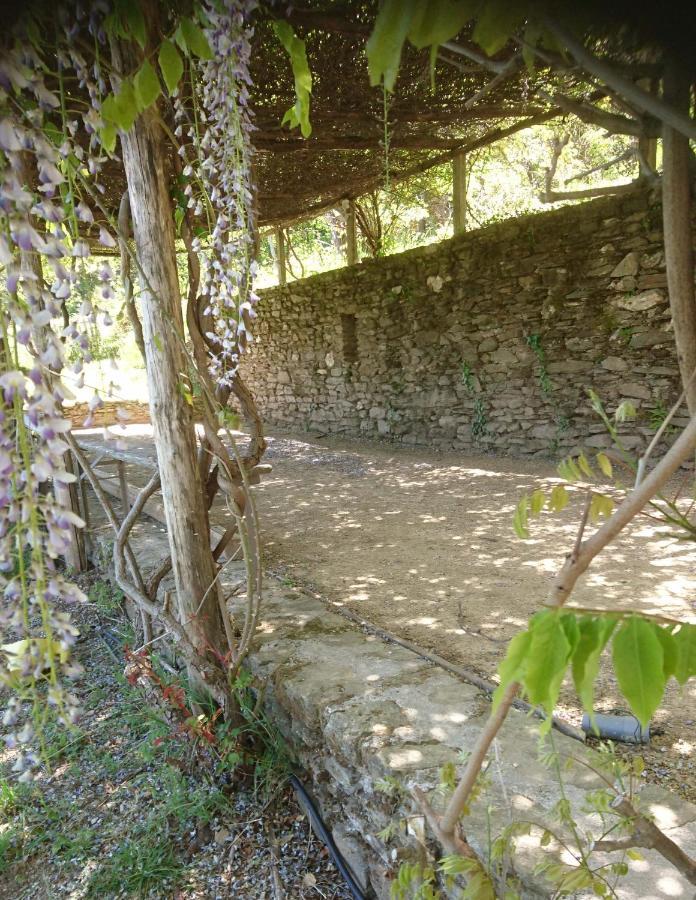 Le Mercou En Cevennes Saint-Martin-de-Boubaux Bagian luar foto