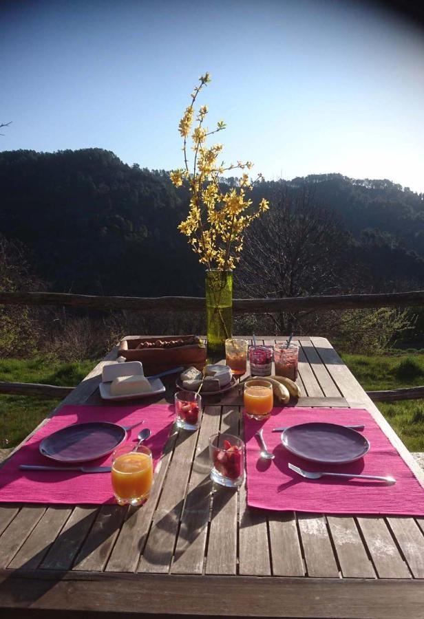 Le Mercou En Cevennes Saint-Martin-de-Boubaux Bagian luar foto